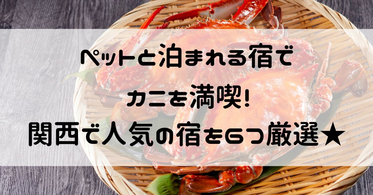 ペットと泊まれる宿 カニ 関西