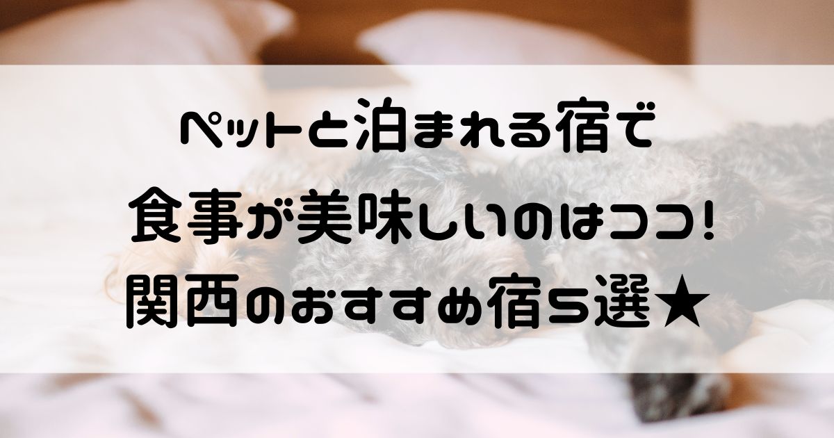 ペットと泊まれる宿 食事が美味しい 関西