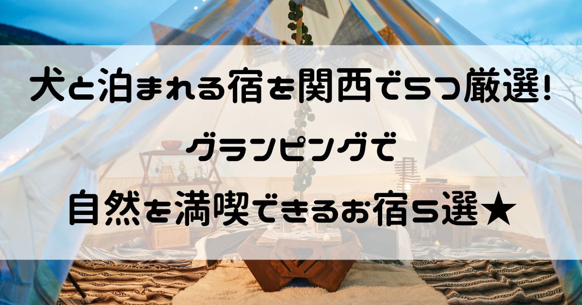 犬と泊まれる宿 関西 グランピング