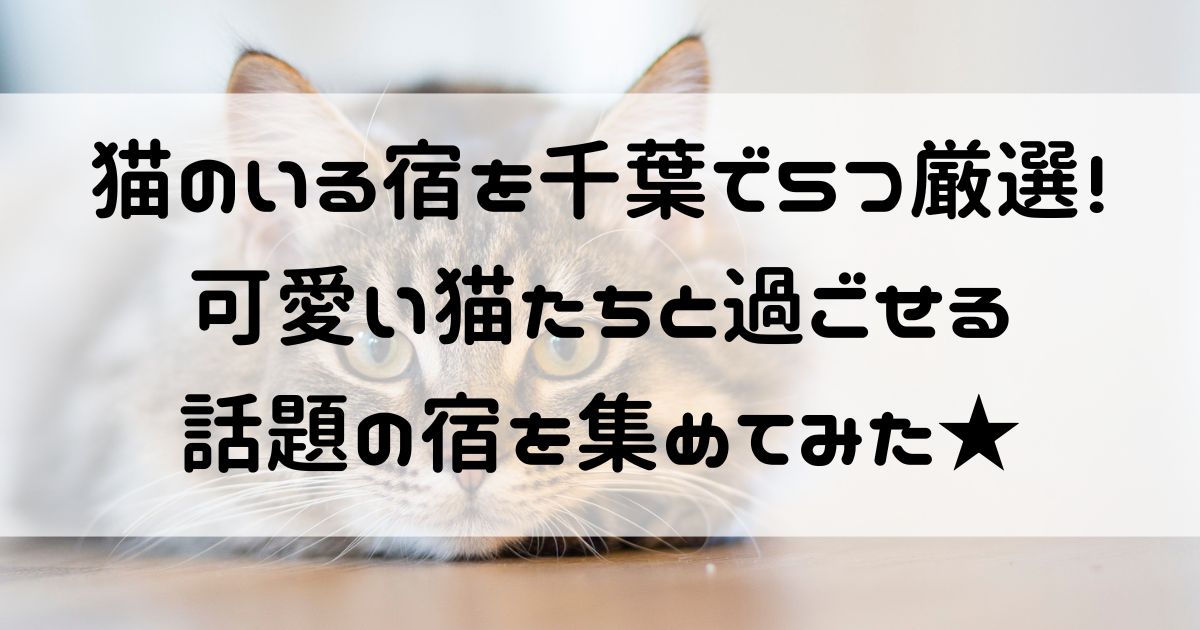 猫のいる宿 千葉