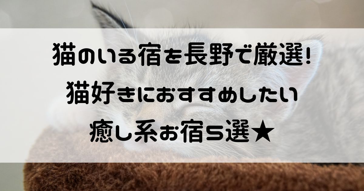 猫のいる宿 長野
