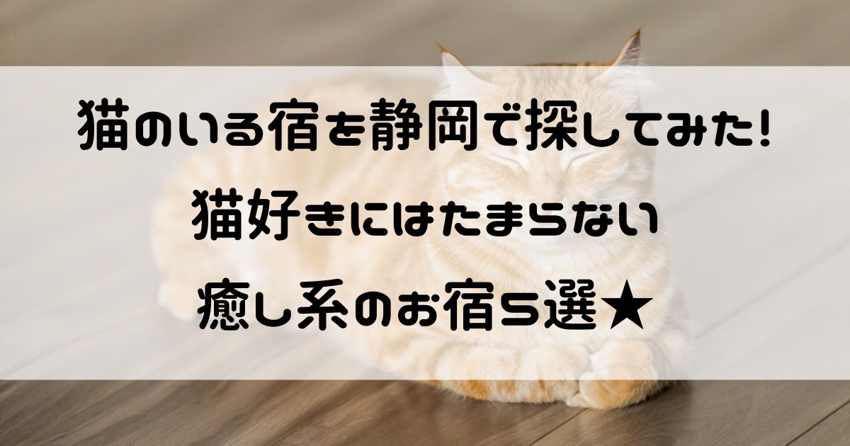 猫のいる宿 静岡