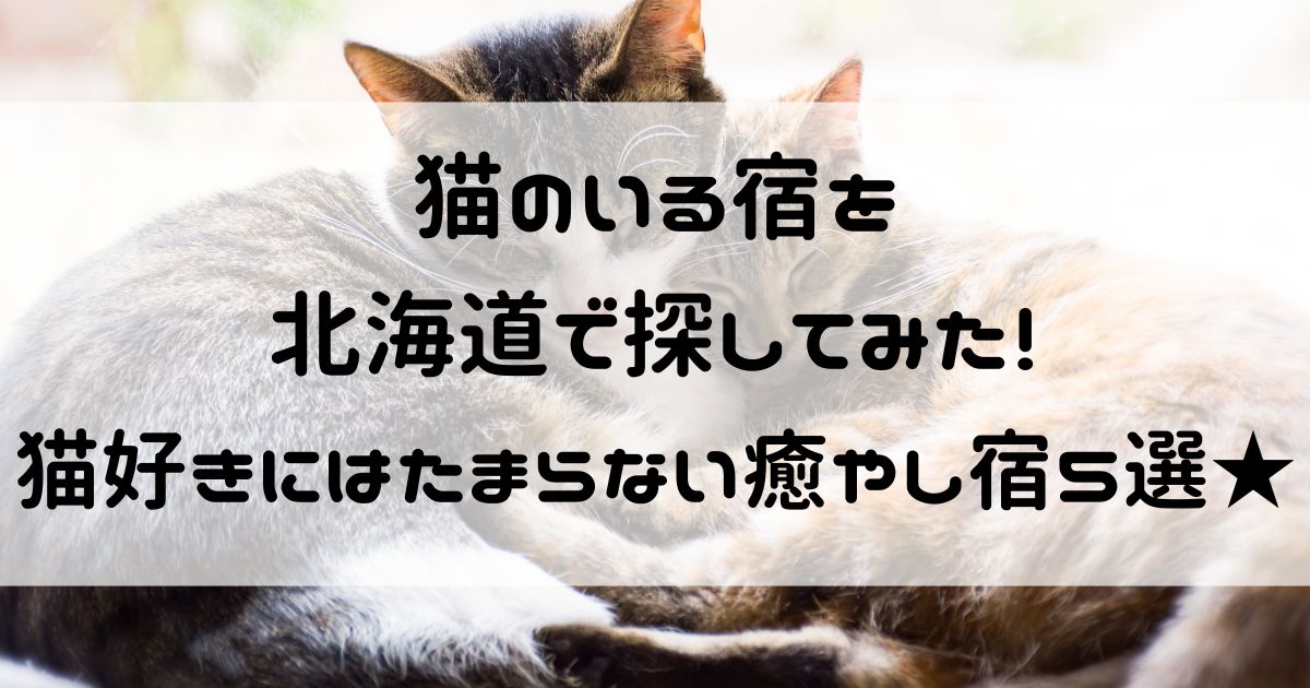 猫のいる宿 北海道