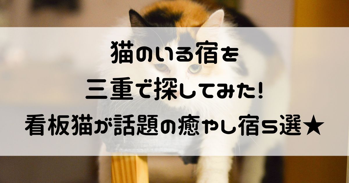 猫のいる宿 三重