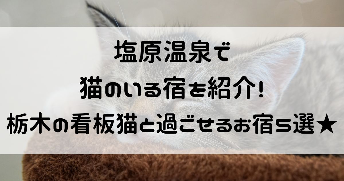 塩原温泉 猫のいる宿