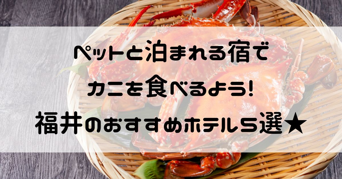 ペットと泊まれる宿 カニ 福井 ホテル