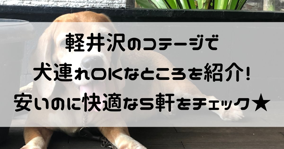 軽井沢 コテージ 犬連れ 安い