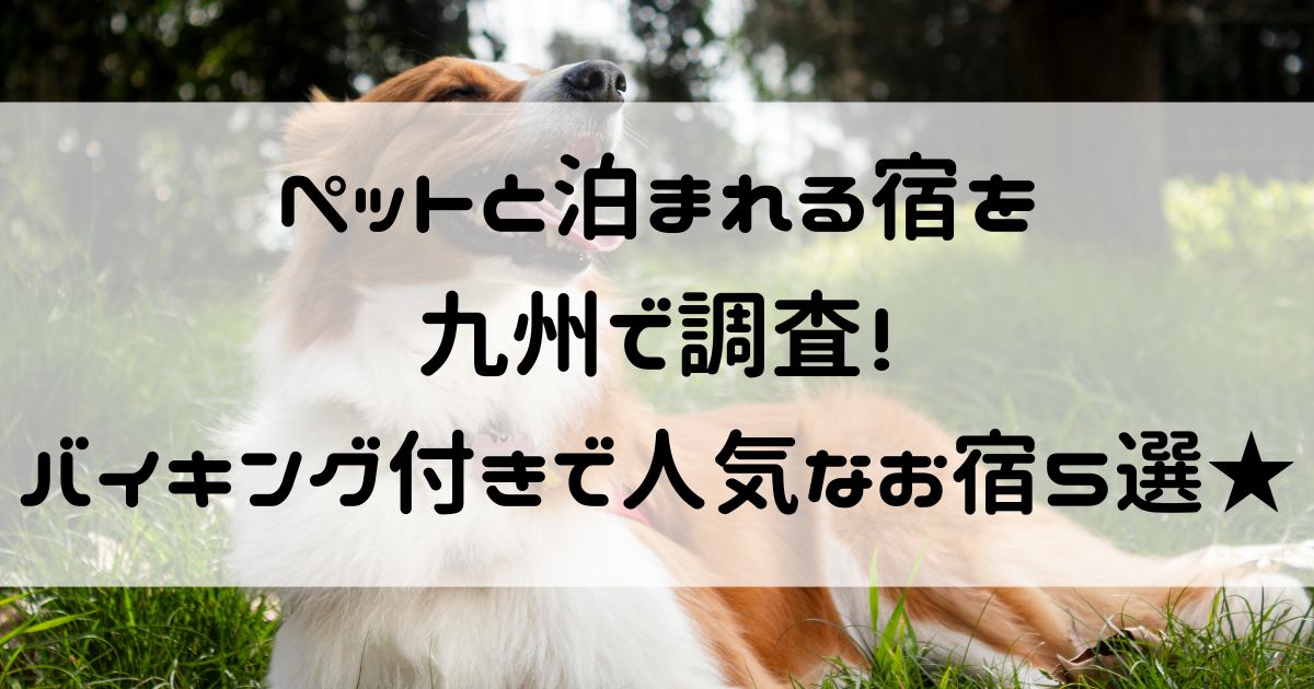 ペットと泊まれる宿 九州 バイキング