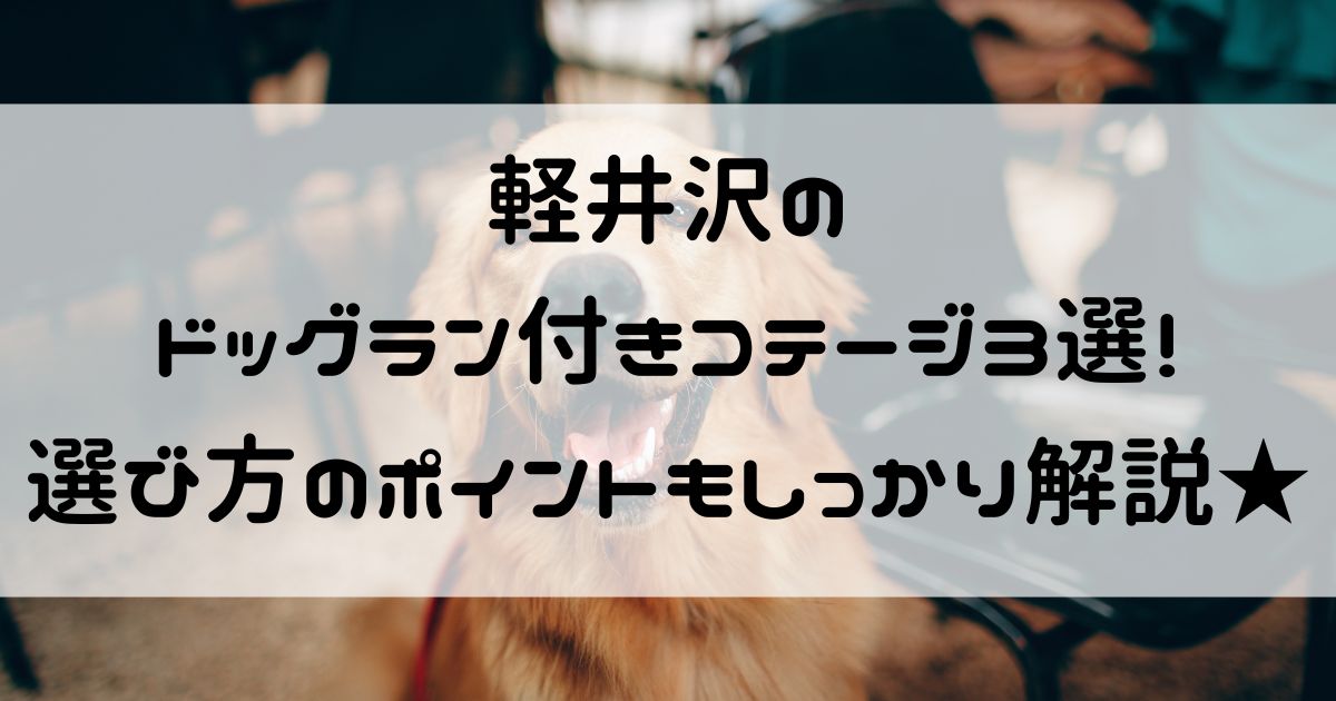軽井沢 ドッグラン付き コテージ