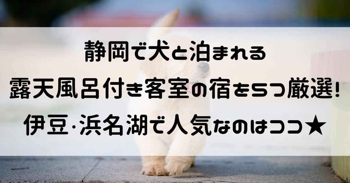 静岡 犬と泊まれる宿 露天風呂付き客室