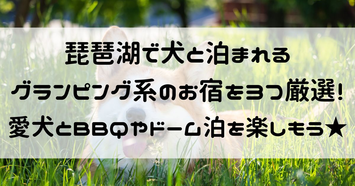 琵琶湖 犬と泊まれる グランピング